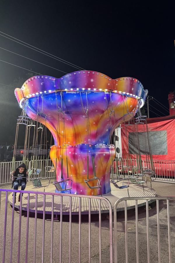 Kiddie Swings